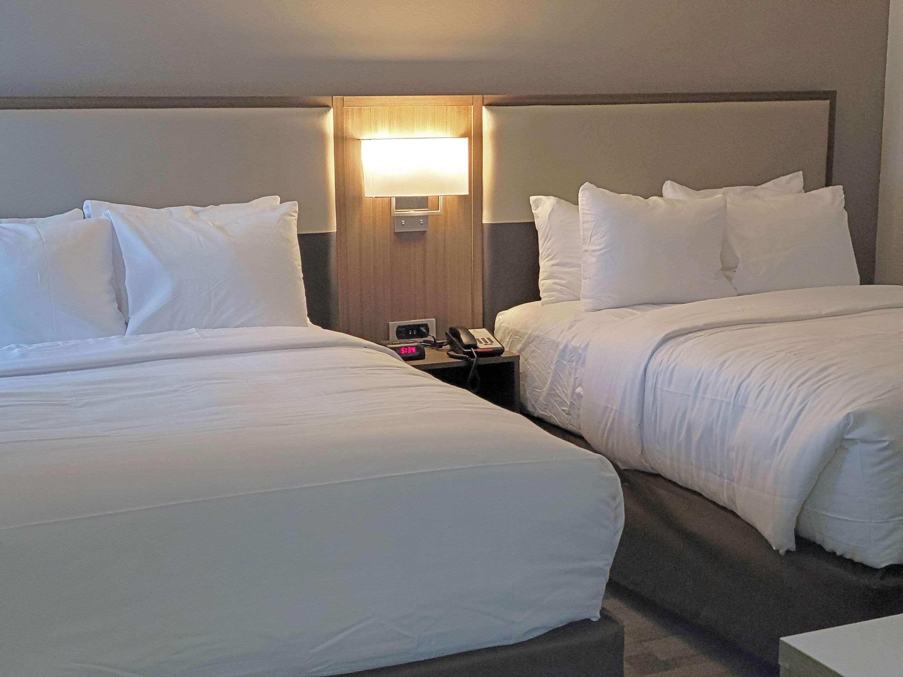 Comfort Inn & Suites Wyomissing-Reading Ngoại thất bức ảnh